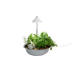 Lampe pour plantes SUNLiTE blanc