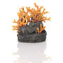Pietra lavica biOrba con corallo di fuoco Orn 20,5 x 24,5 x 22 cm
