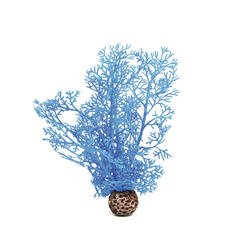 biOrb Corail corné petit bleu 11.5 x 7.5 x 26 cm