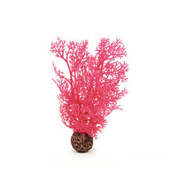 biOrb Corail corné moyen rose 12 x 7.5 x 36 cm