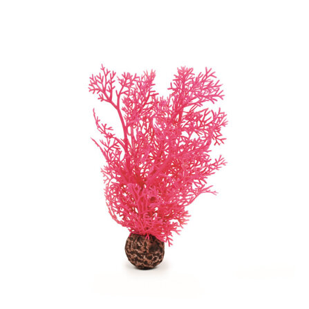 biOrb Horn Coral piccolo rosa 11,5 x 7,5 x 26 cm