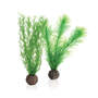 biOrb Feather Fern Set piccolo verde 11,5 x 3,2 x 25,6 cm