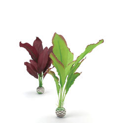 biOrb Set de plantes en soie moyen vert &amp; lilas 12 x 4.0 x 34.9 cm