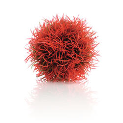biOrb Balle de culture rouge 11 x 7.5 x 14 cm