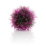 biOrb Balle de culture lila 11 x 7.5 x 14 cm