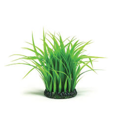 biOrb Anneau d'herbe moyen vert 15.2 x 10.5 x 29 cm