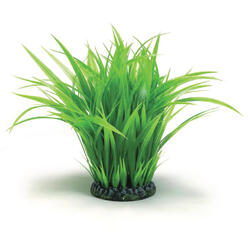 biOrb Grasring gross grün 15.2 x 10.5 x 34 cm