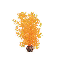 biOrb Hornkoralle klein orange 11.5 x 7.5 x 26 cm