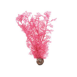 biOrb Hornkoralle mittelgross pink 12 x 7.5 x 36 cm