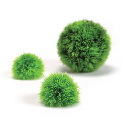 biOrb Boule de croissance décorative Set 3 vert 16 x 12 x 34 cm