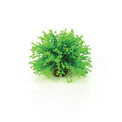 biOrb Flower Ball verde 11 x 7,5 x 14 cm