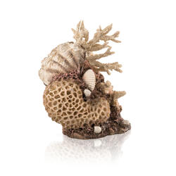 biOrb Korallen-Muschel Ornament natura 