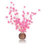 biOrb Bonsai Ball rose