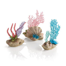 biOrb Korallenfächer & Muschel Set 