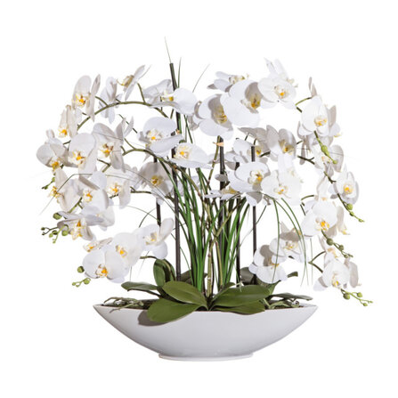 Phalaenopsis in Keramikschale70 cm, weiss, Real Touch