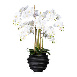 Phalaenopsis in Vase95 cm, weiss, Real Touch