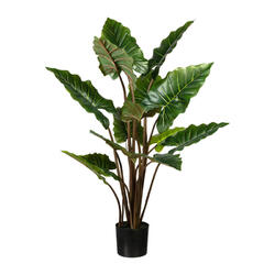 Taropflanze 140 cm, 14 Blätter