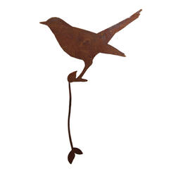 Elemento decorativo Branch Bird Blackbird Standing