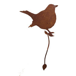 Elemento decorativo Branch Bird Fat Blackbird