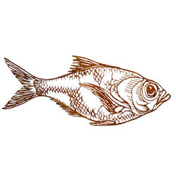 Elemento decorativo pesce 