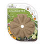 SeedCell - Disque de courgettes