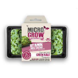Micro-Grow - Kale (Texael Green)