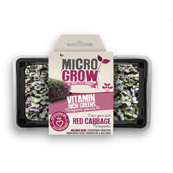 Micro-grow - Cavolo rosso