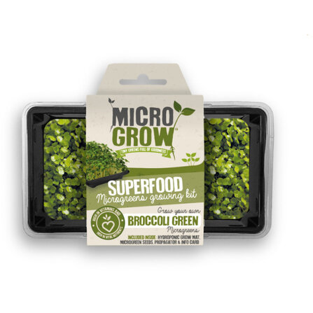 Micro-Grow - grüner Brokkoli