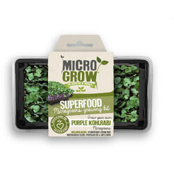 Micro-Grow - Chou-rave violet