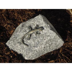 Elemento Deco Lizard su granito della foresta nera