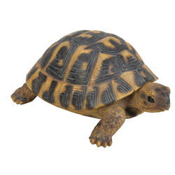 Figura decorativa tartaruga di terra