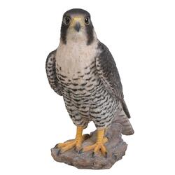 Figura decorativa falco pellegrino