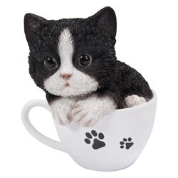 Figura decorativa gattino in tazza assortita