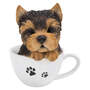Cucciolo di Yorkshire Terrier in tazza Figurina decorativa