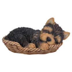 Yorkshire Terrier cucciolo in cesto figura decorativa