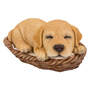 Figura Deco Cucciolo di Labrador in cestino
