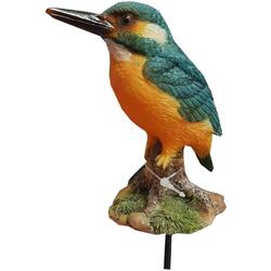 Pianta Plug Kingfisher