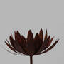Élément décoratif Fleur de chrysanthème sur plaque