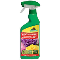 Spray gegen Rosenschädlinge Spruzit AF