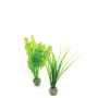 biOrb Pflanzen Set mittelgross grün 12 x 4.0 x 34.6 cm