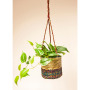 Artisan Plant Basket - Medium15 x 15 x 15