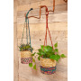 Artisan Plant Basket - Small12 x 12 x 12