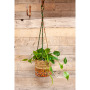 Artisan Plant Basket - Small12 x 12 x 12