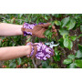 Handschuhe Oak Leaf violett M/L