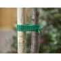 Universal  Baumband grün4 cm x 2m