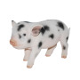 Figurine décorative Mini-Cochon