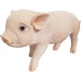 Figurine décorative Mini-Cochon