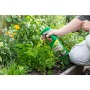 Engrais BioKraft Cure vitale pour plantes aromatiques