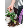 Terreau pour orchidées sac de 3 litres