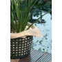 Chiffons pour plantes aquatiques 60x60cm sachet de 3 pièces